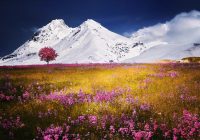 Разница между словами 「風景」и「景色」